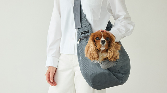 愛犬との時間を豊かにするドッググッズ