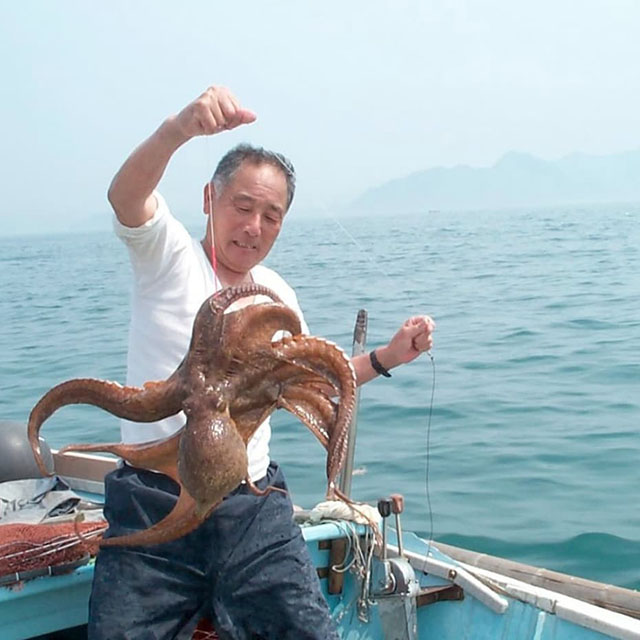 愛媛海産