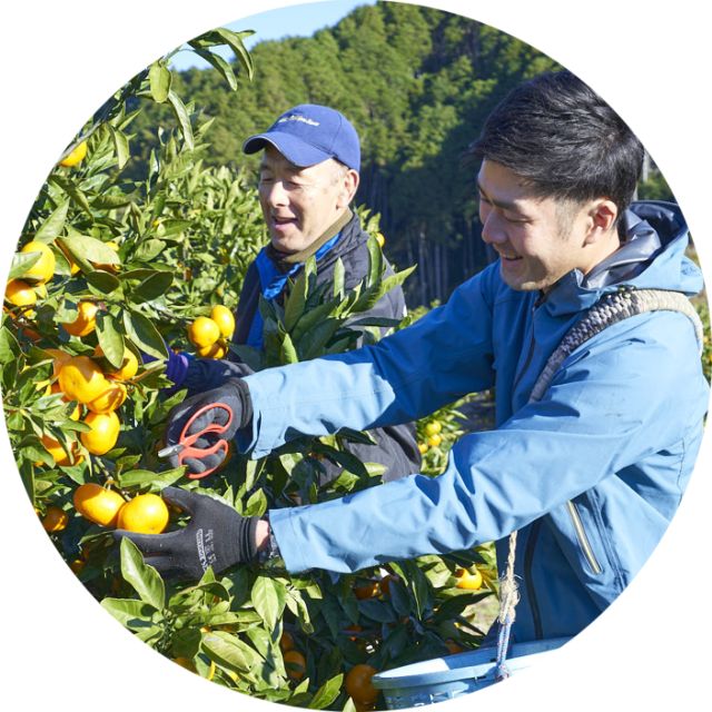 青木農園｜静岡・清水