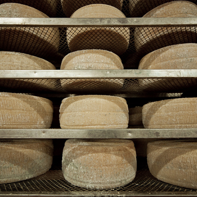 Fattoria Buca Nuova