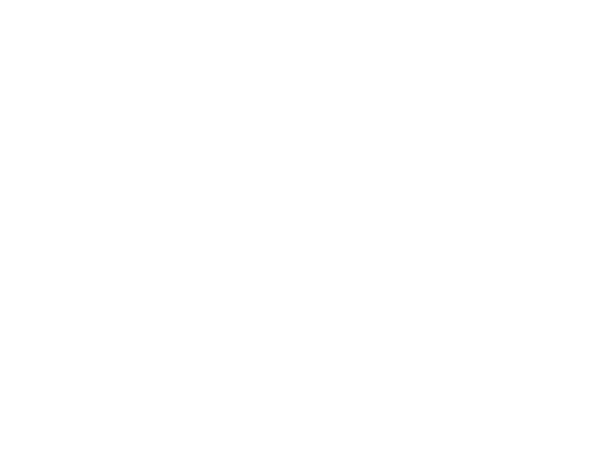 THE WINE STORE