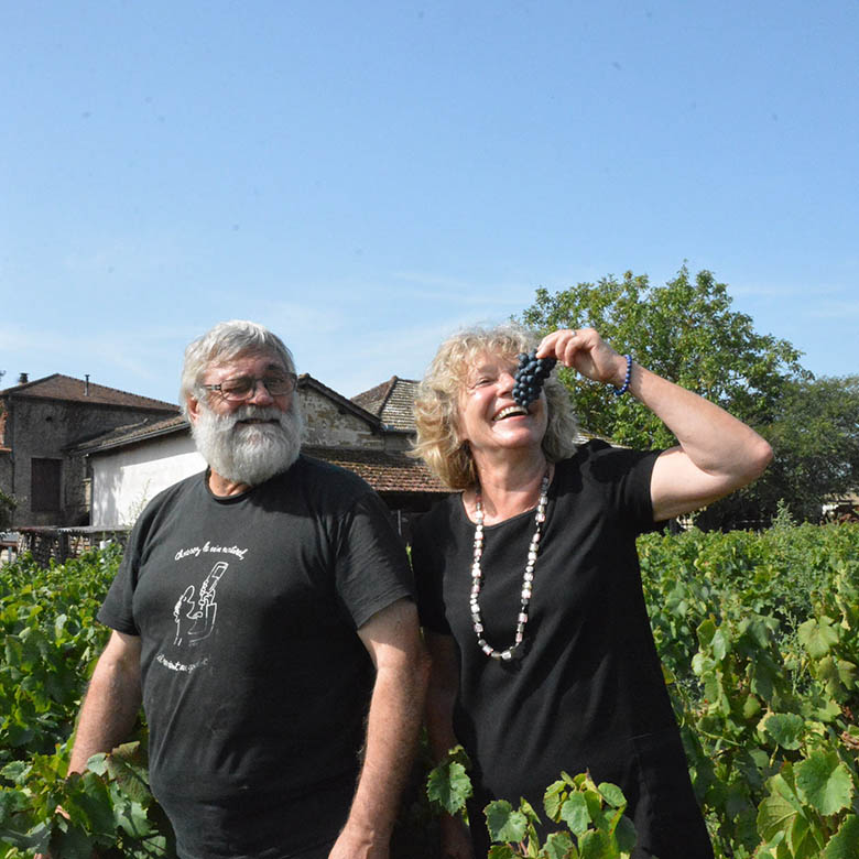 フランス Marionnet アール・ヌーヴォー 果実文トレー フランス Albert