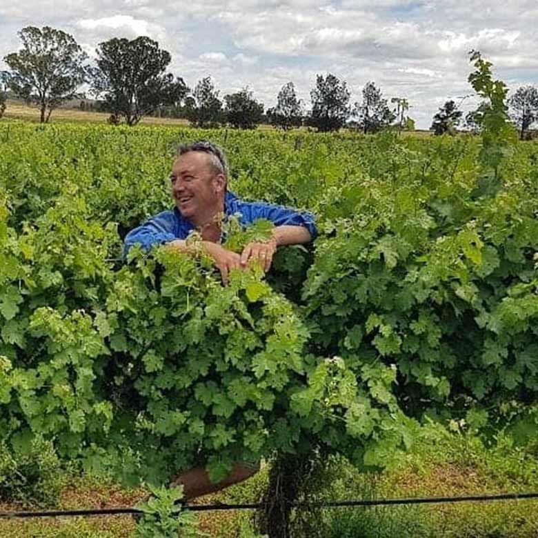 ザ・ナチュラル・ワイン・カンパニー オーガニック・シラーズ（亜硫酸