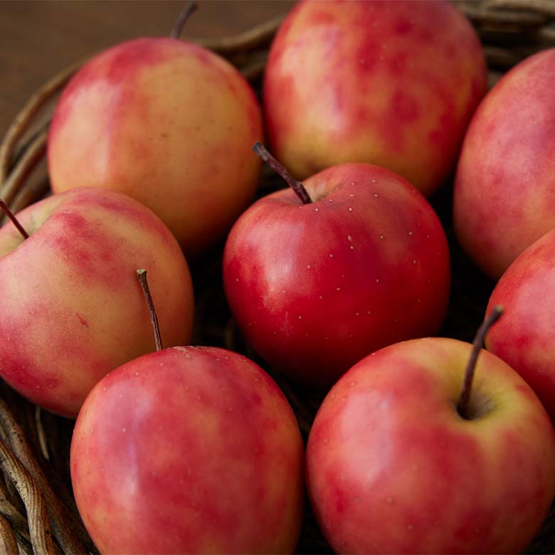 オーチャードフルーツバター 御所川原農園 りんご ｜DEAN & DELUCA【公式】