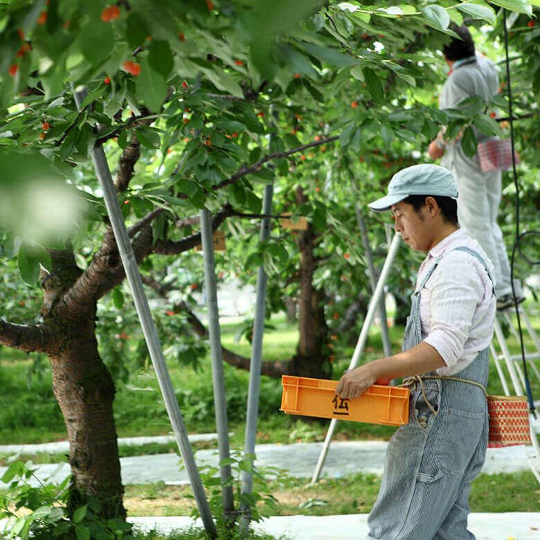 DEAN & DELUCA オーチャードジャムシリーズ 山形県『鈴木さくらんぼ園