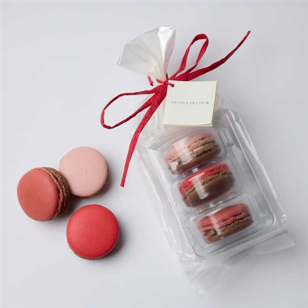 ストロベリー、チェリー、フランボワーズの赤い果実と ショコラを