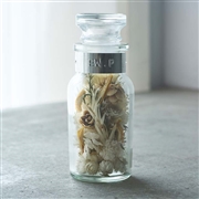 EW.Pharmacy フラワーボトルアレンジメント ホワイト＜数量限定＞