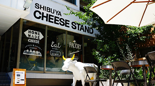 CHEESE STAND チーズアソート1