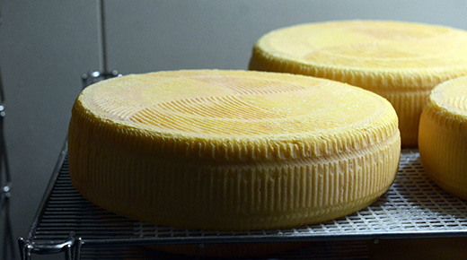 CHEESE STAND チーズアソート2