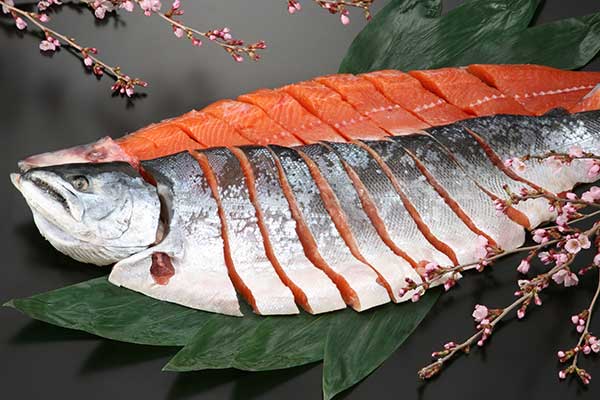 さしみ鮭さく造り3
