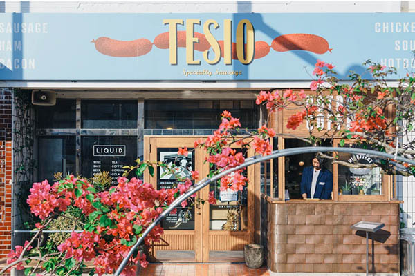 TESIO1