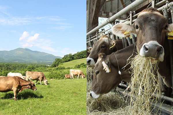 共働学舎新得農場1